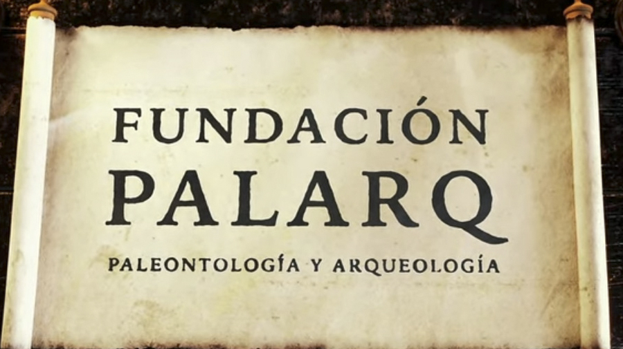 Canal Youtube Fundación Palarq